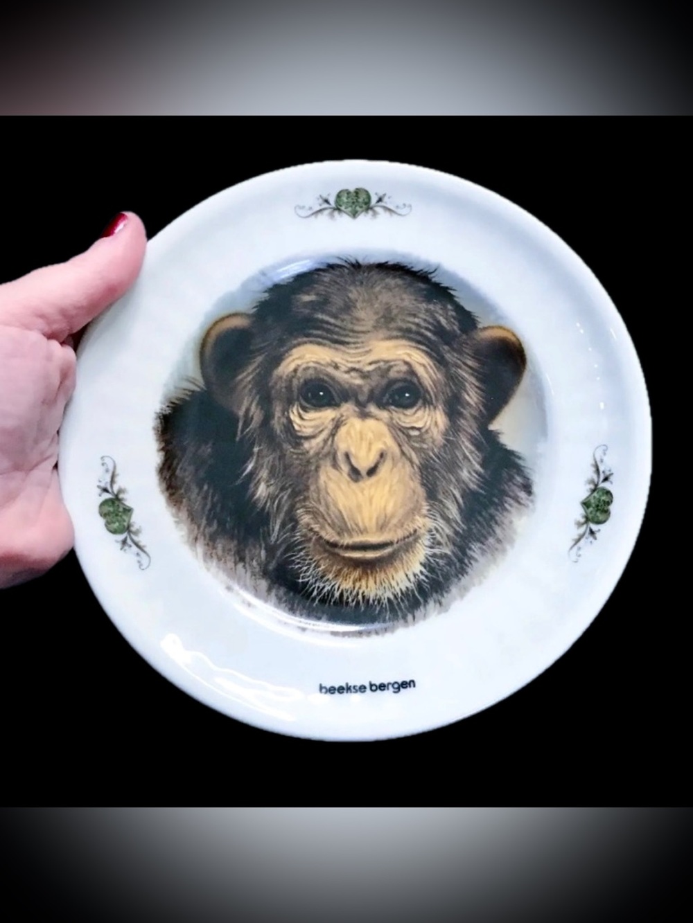 Beekse Bergen Park Netherlands Chimpanzee Plate Collectible Safari Zoo Animal